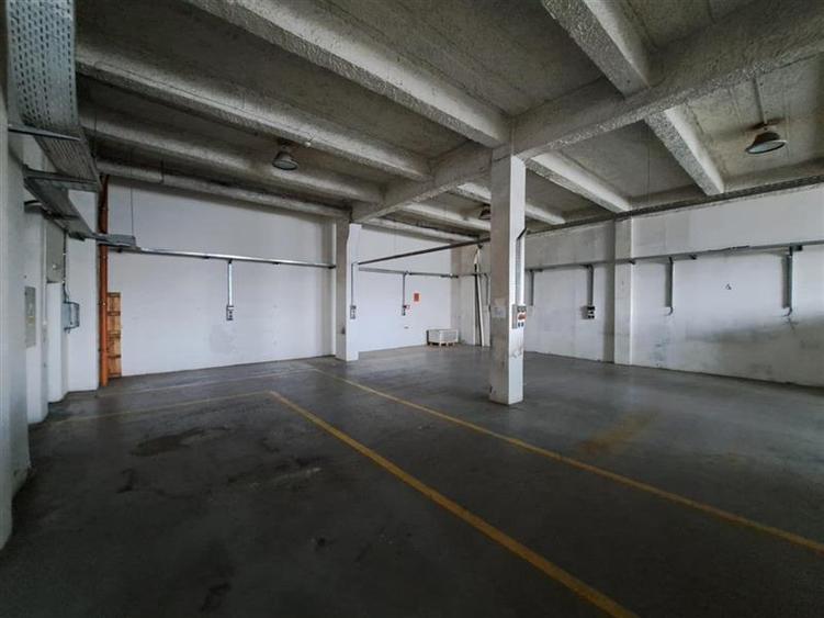 Spatiu industrial, 1500 mp utili, P+E, situat in zona Corneliu Coposu! - 11