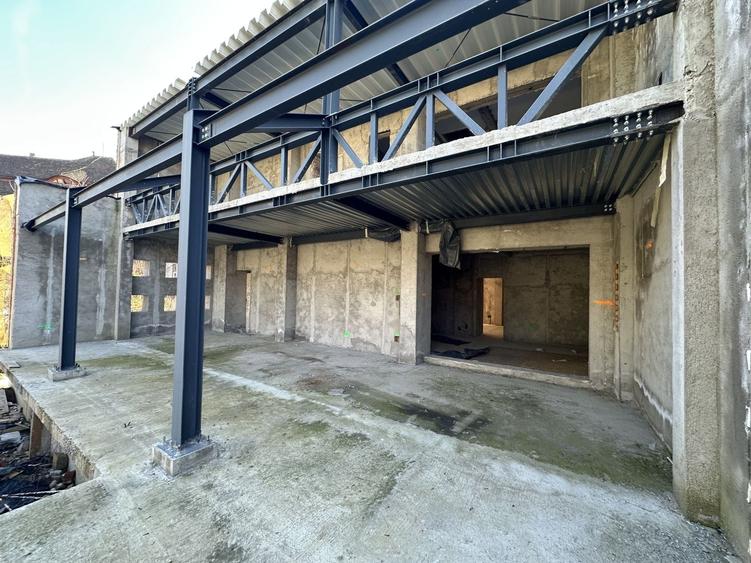 Proiect deosebit zona Medicina / Isho - 19