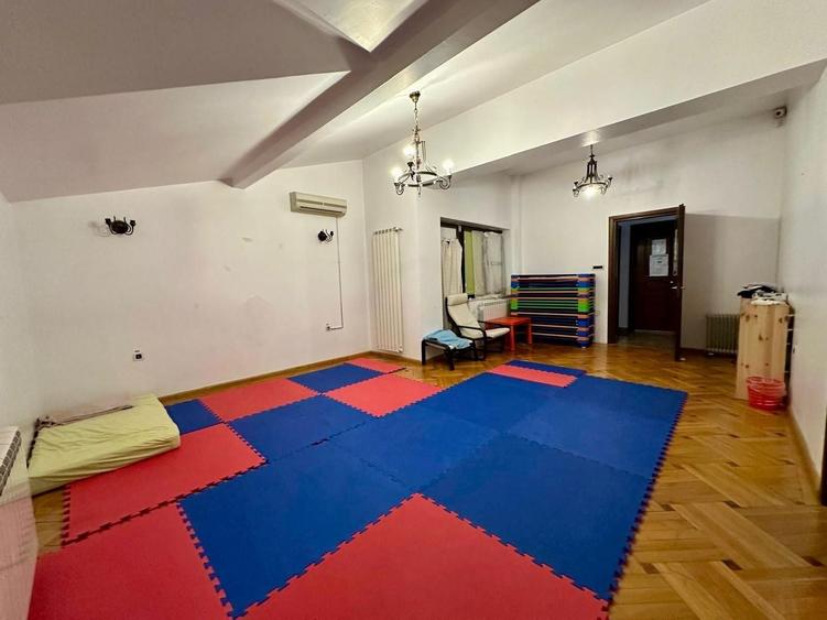 Vilă individuală 17 camere, 850 mp teren | Grădiniță / clinică | Iancu Nicolae - 11