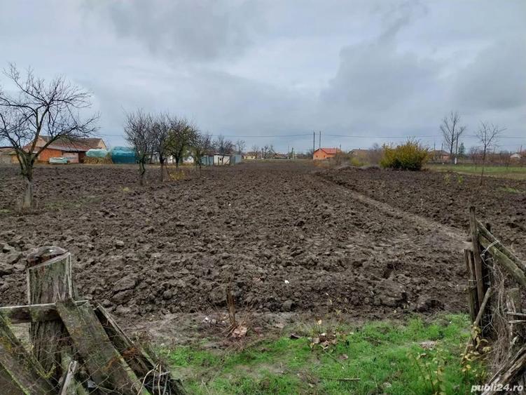 Casa de vanzare in Cenad judetul Timis - 4