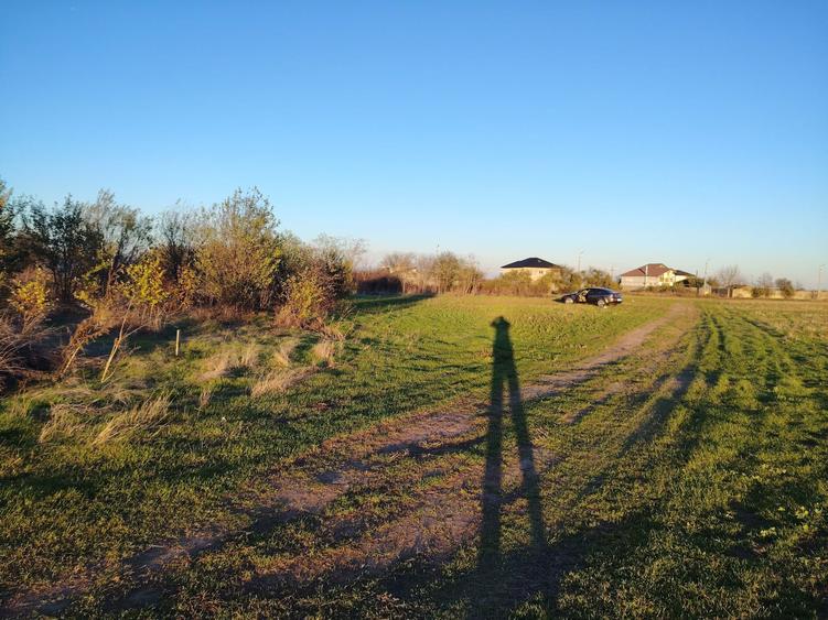 Vand teren Tanganu - 3