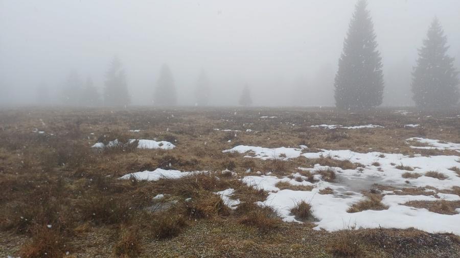 Vand 2 parcele Belis - 2