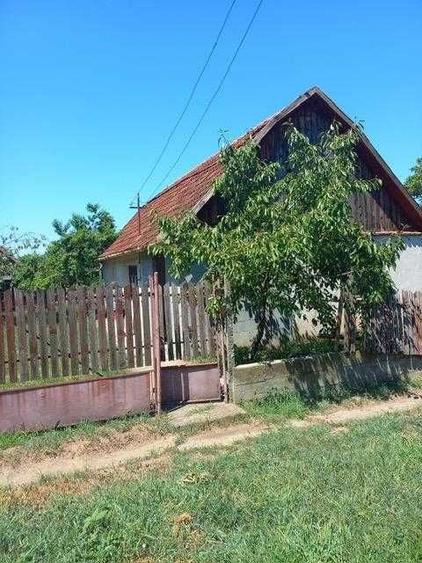 Vindem Casa Sistere - 8