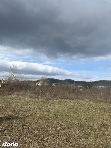 BANESTI - teren intravilan - 1035mp - 50 Euro/mp - 2
