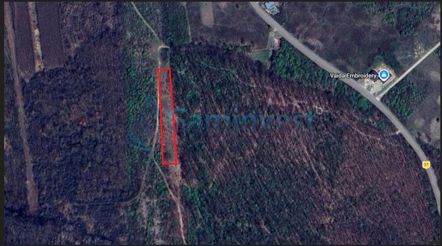 Teren intravilan de vanzare in Paleu, aprape de padure, Bihor - 4