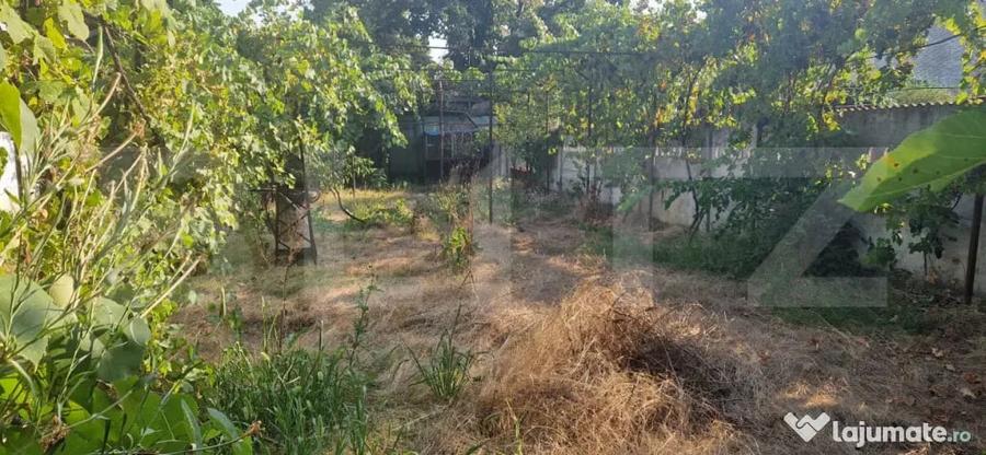 Casă cu 3 camere cu Teren 444 Mp în Central