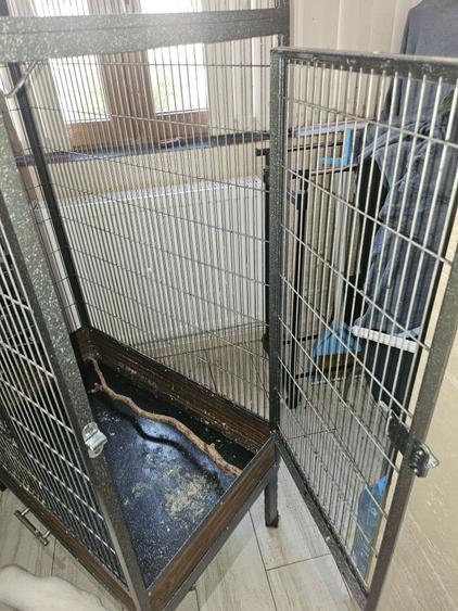 Apartament în Central
