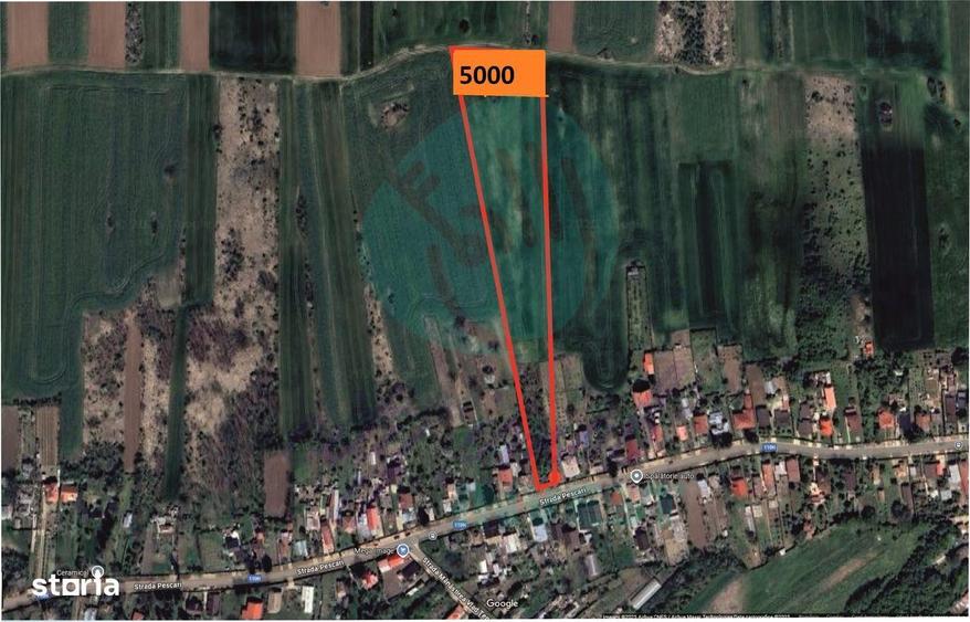 Teren de 5000 mp, în Gruiu