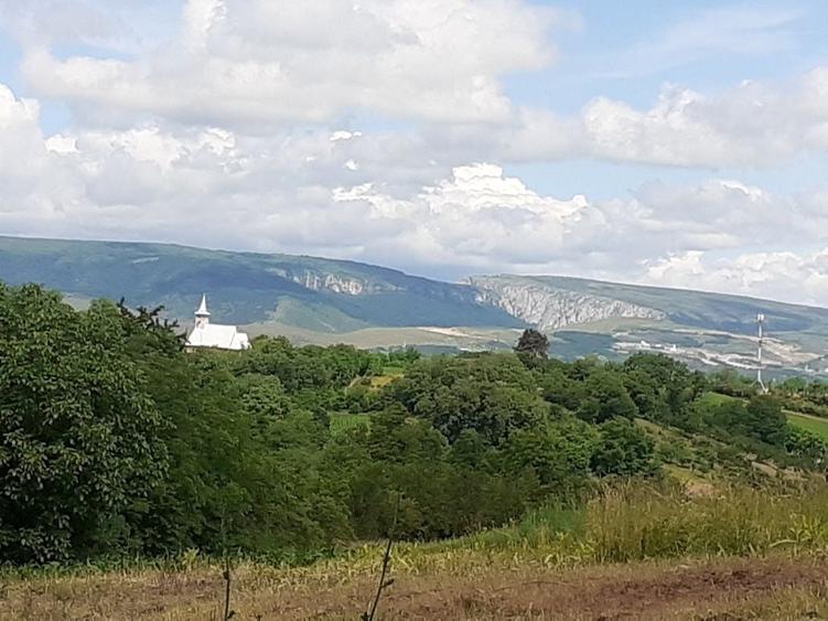 Teren de 1800 mp, în Bădeni