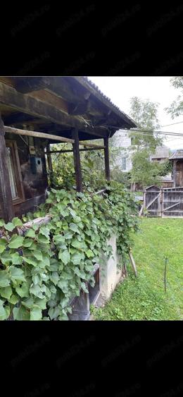 Casă cu Teren 3297 Mp în Sat-Șugatag