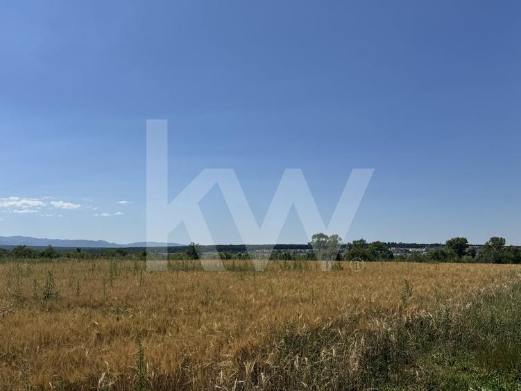 Teren agricol extravilan de 720 mp, în Cisnădie