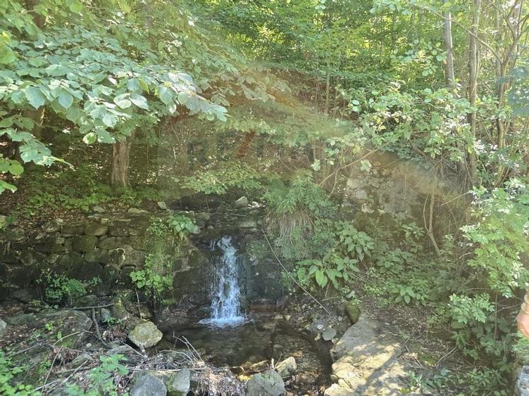 Teren 4,000mp Pascoaia / Soseaua Punctul Chiliilor - 14