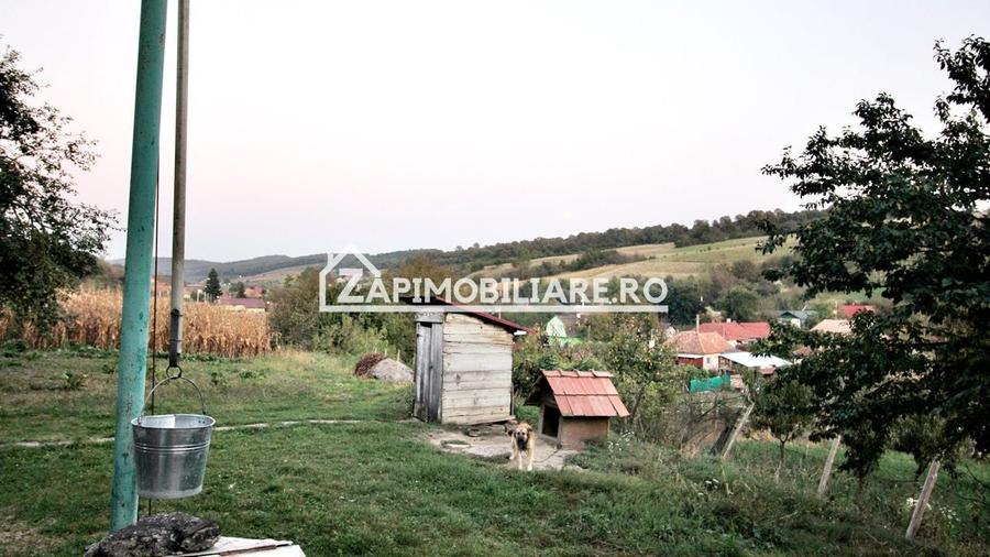 De vanzare 2 case cu 4.900 mp teren, Livezeni 0% comision - 5