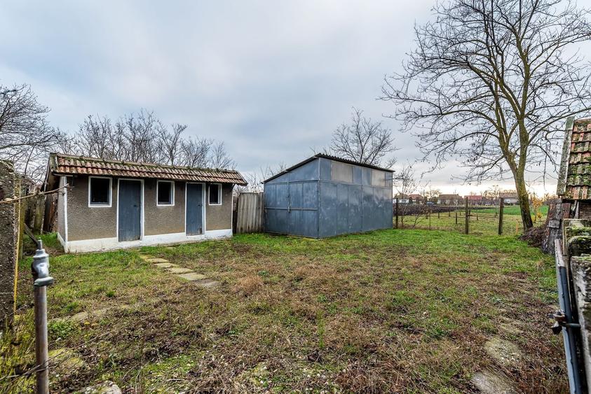 Casă + livadă tânără + curte 2.500 mp în Dorobanți - 9