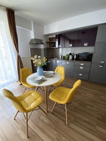 De inchiriat apartament 2 camere zona Nufarul - 4
