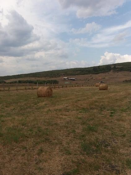 Teren intravilan Luna de Jos 9800 mp front la DJ 52,2 m - 3