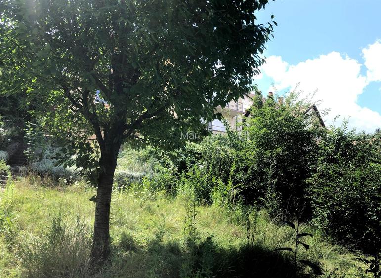 Casa individuala, Centrul Istoric