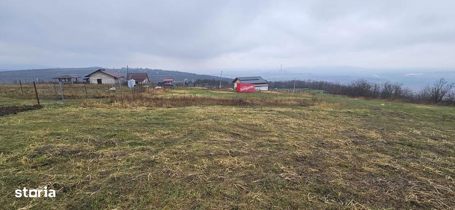 Teren intravilan Chicerea - Tomesti - 656 mp + acces, langa padure - 4