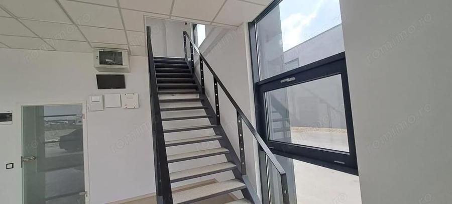 Spatiu de depozitare si productie Mogosoaia - 5