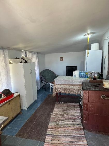 Casa batrineasca cu approx 2800 mp teren, vie, pomi fructiferi, zmeura, coacăze - 7