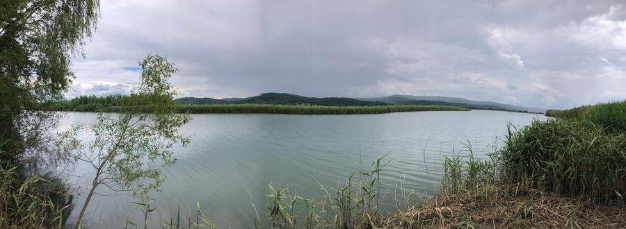 Casa, Curtea de AG- NOAPTEȘ, -zona verde, lac, piscina etc - 10