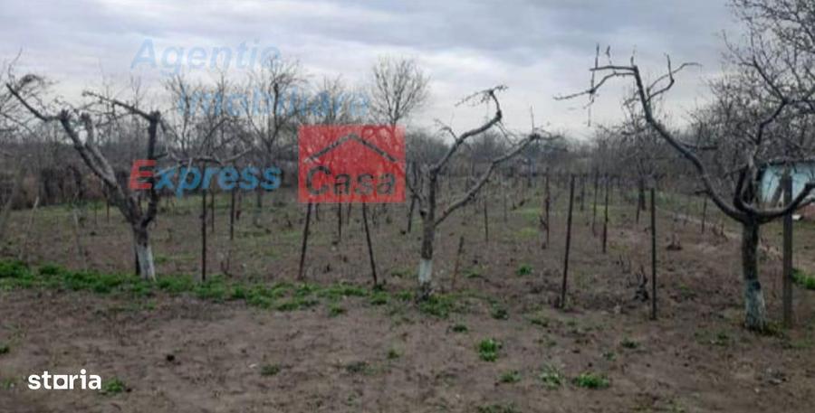 Teren de vanzare 3000 mp, Prisacani (27 km de IASI) - 2