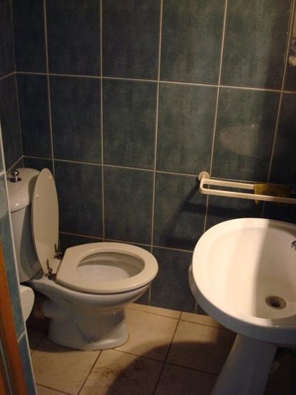 Inchiriere Vila P+M, Stirbei Voda-Parcul Cismigiu-Hotel Hilton Athenee Palace - 8