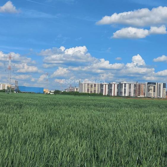 Teren ideal pentru dezvoltare rezidențială 10.000 mp, deschidere 44 m Utilitati