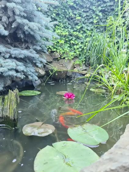 Duplex de vanzare, Mosnita Veche, 5 cam, 132 utili, toate utilitatile - 7