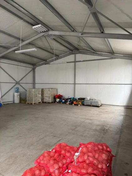 Spatiu comercial 280 mp + 700 mp curte, Filiasi - 3