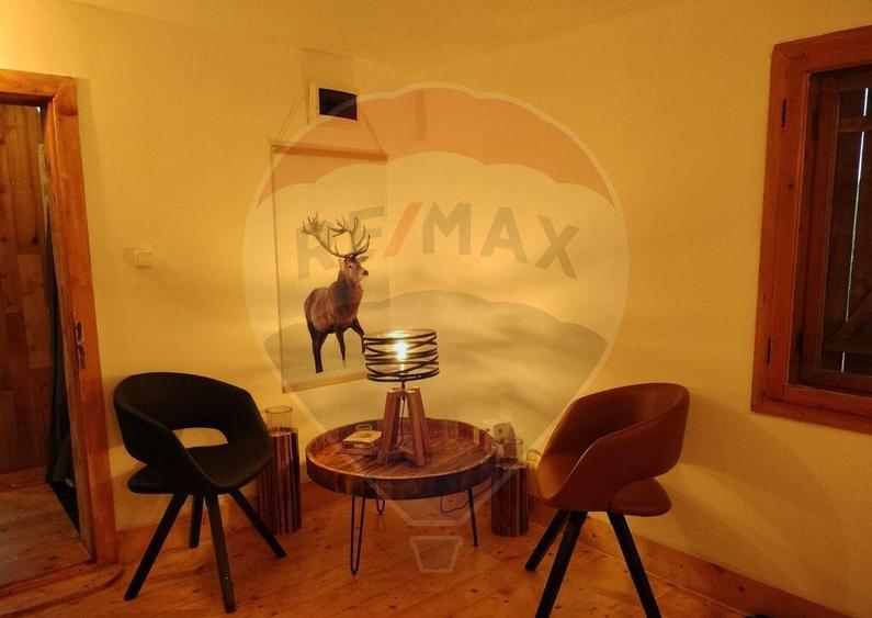 Casa de vacanta la munte de vanzare - 17