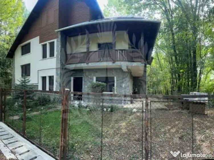 CASA DE VACANTA//CORNU DE JOS - 2