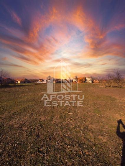 Casă spațioasă cu 2 locuințe și teren generos de 5.755 mp în Șandra - 18