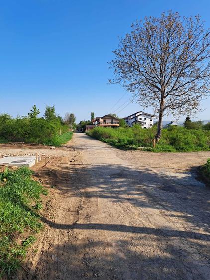 Teren de vanzare 2607 mp Visan, com. Barnova, langa Ville Toscana - 6