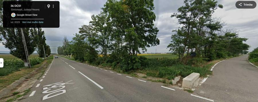 Teren intravilan de vanzare 8795 mp Cordun Simionesti 18 /MP - 4