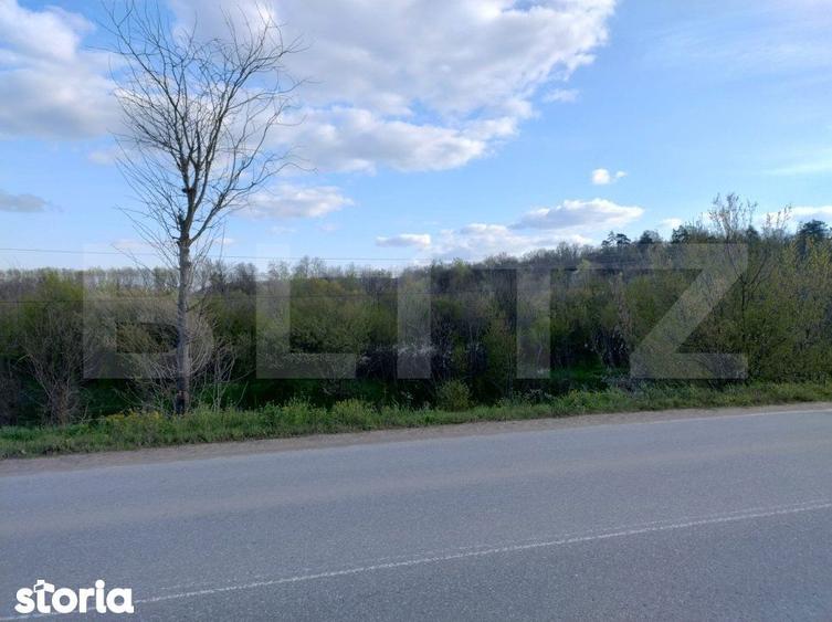 Teren padure 10 ha, extravilan, 400 ml deschidere, stradal, zona Breas - 3
