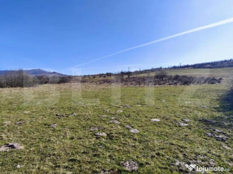 TEREN INTRAVILAN DE VANZARE COMUNA LIVEZILE | 4.948 MP - 1