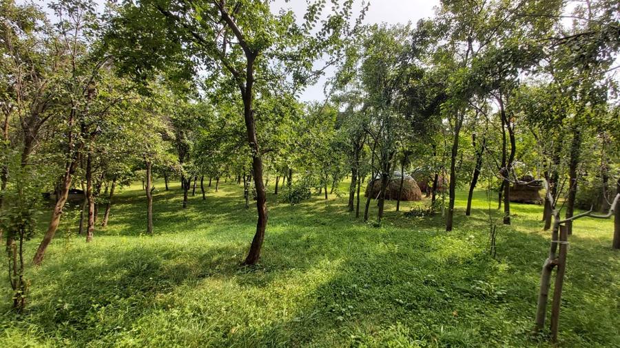 Oportunitate vanzare 6000 mp teren drept,superb toate utilitatile Breaza Prahova - 3