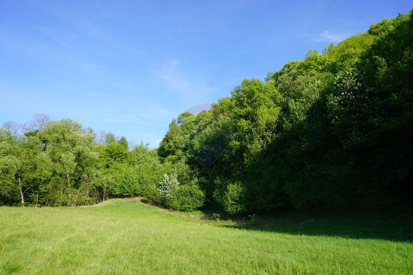 Teren 33,137mp Sighetu Marmatiei / Strada Mocanitei - 7