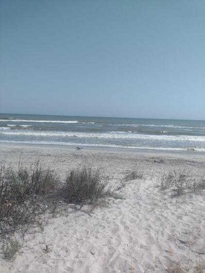 Vadu-Corbu-Teren 2000 mp primul  rand la mare - 7