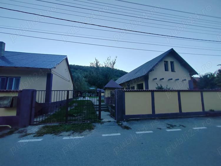 Gospodarie langa Deva - 1