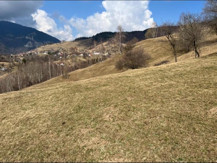 Vanzare Teren cu Punct de Belvedere in Moieciu zona Magura-Pestera - 5