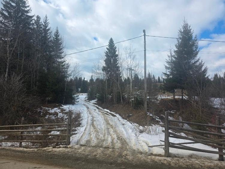 Teren intravilan 15.000 mp cu panorama montana | 1 km Parcul Calimani Pret neg - 6