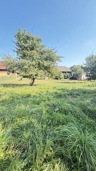 OCOLIS casa batraneasca cu sura si 14 ari teren! - 5