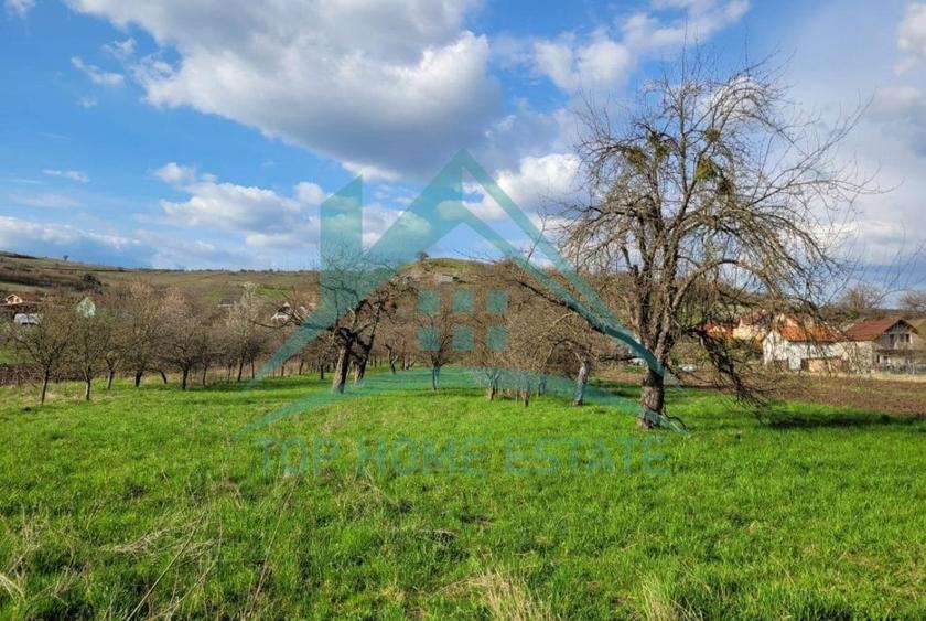 EXCLUSIVITATE! Teren intravilan de vanzare in zona linistita, sat Vlaha! - 2