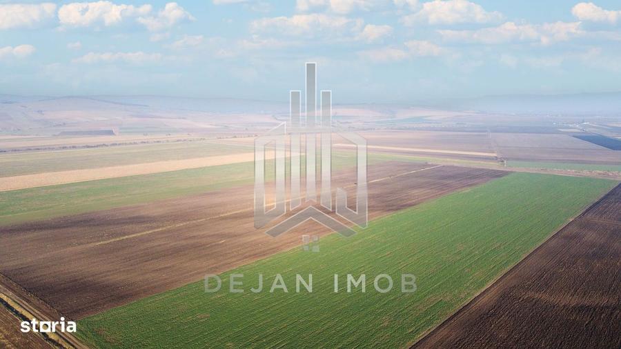 5 Ha | Teren extravilan | Langa Fabrica Reci - 4