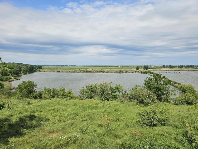 Liziera de Lac de vanzare vila 4 camere mobilat/utilat LA CHEIE! - 12