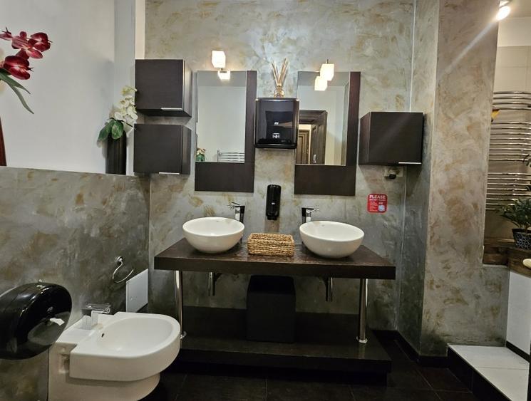 Vila cu arhitectura Cismigiu - 8