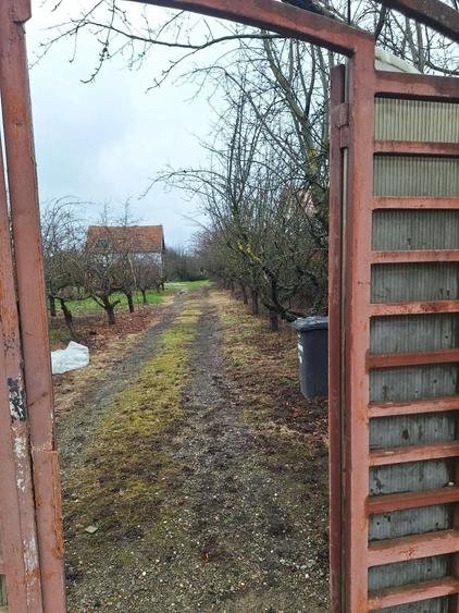 Teren 2500 mp,toate utilitatile -SAFTICA - 5