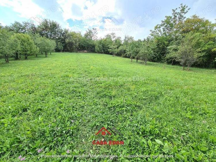 Teren intravilan in Poiana Campina--3287mp--10e